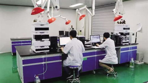 由陇药骨干企业向龙头企业迈进