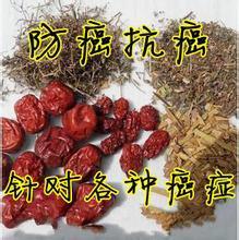 【收购河南封丘金银花直接上中国惠农网 】价格,厂家,植物原药材-搜了网