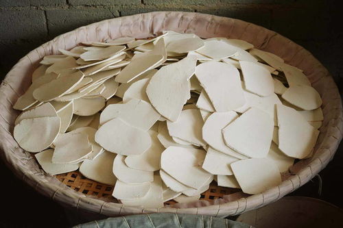 深山采药人 二十载坚守,争议中的生计与寂寥