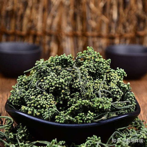 草木春秋 岁岁年年药香浓