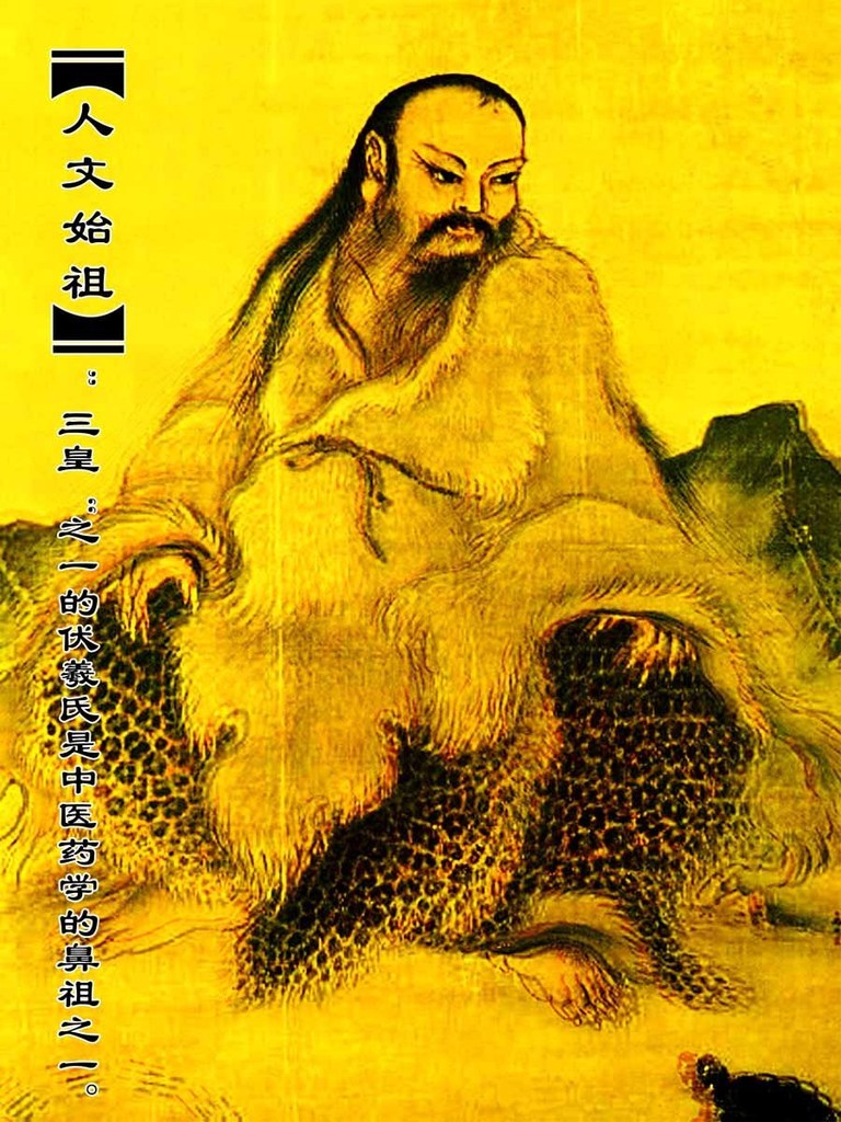 药材的魅力 中医药文化的传承与展示