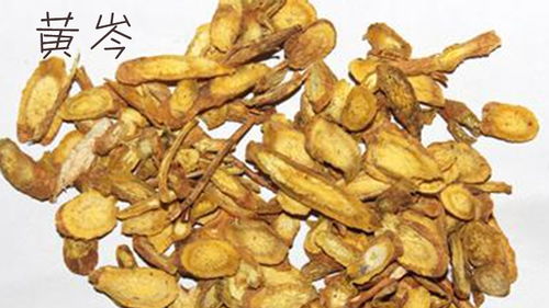 老中医醉后吐真言 脂肪肝调养，三种寻常药材里的不寻常智慧