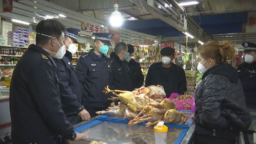 尼勒克县开展食品药品安全检查，筑牢“舌尖上的安全”防线