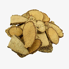 探秘药材 自然的馈赠与健康的守护者