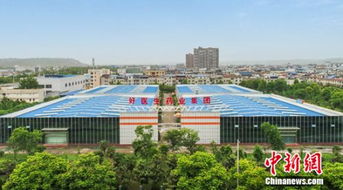 耿福能与好医生药业 铸就“品牌之山”，守护“药材金山银山”