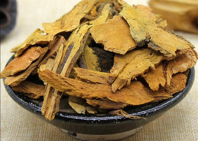 虎杖种植前景与效益分析