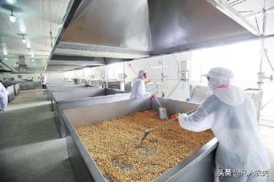 农村创业新路径 开小工厂深加工药材，因地制宜促增收