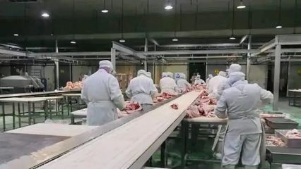 创新驱动，药材产业引领伊犁州直企业高质量发展